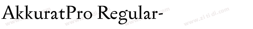 AkkuratPro Regular字体转换